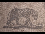 08242 ostia - regio v - insula ii - domus della fortuna annonaria (v,ii,8) - raum (9) - mosaik - tiger - 01-2024.jpg